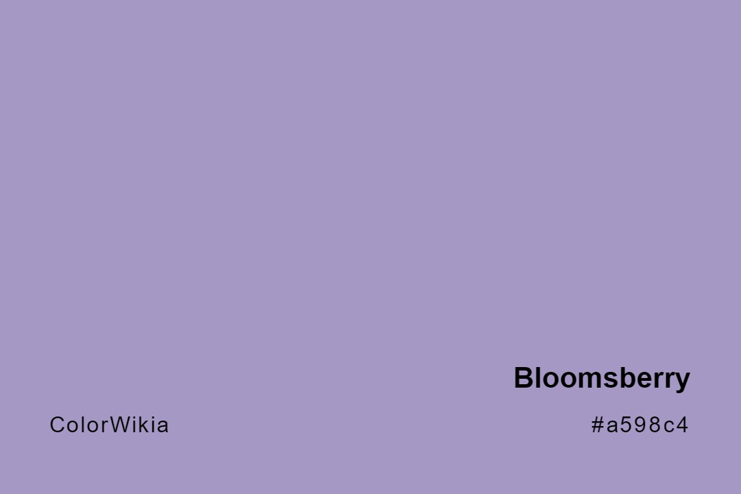 Bloomsberry Color – #a598c4: Codes and Complete Breakdown