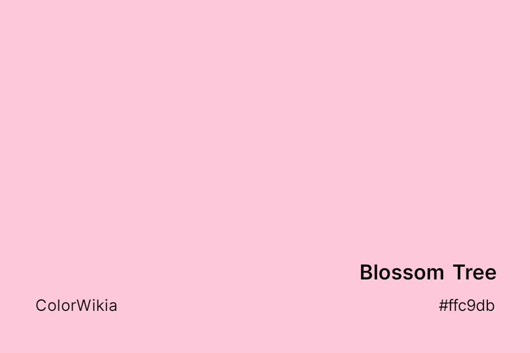 63 Shades of Blossom Color