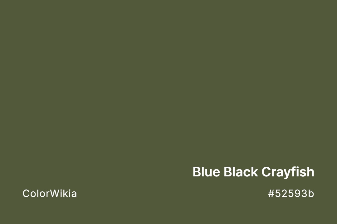 Blue Black Crayfish Color – #52593b: Codes and Complete Breakdown