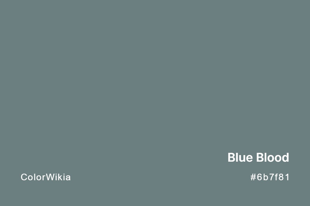 Blue Blood Color – #6b7f81: Codes and Complete Breakdown