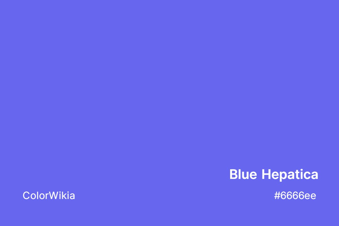 Blue Hepatica Color – #6666ee: Codes and Complete Breakdown