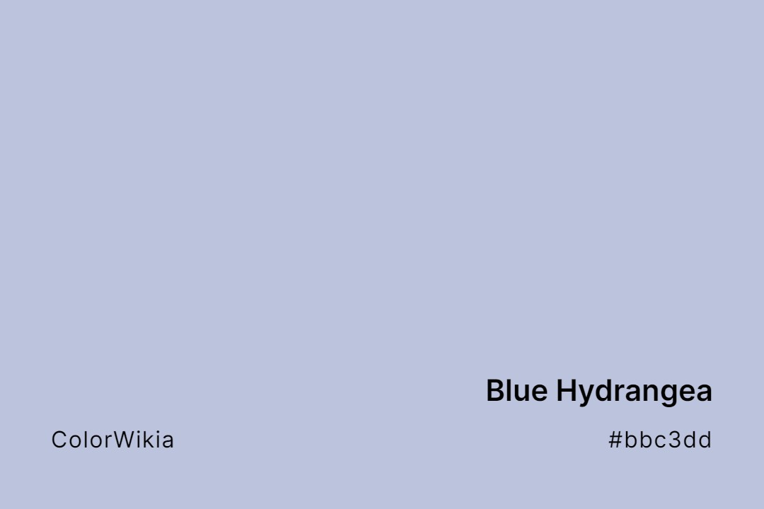 blue hydrangea color bbc3dd