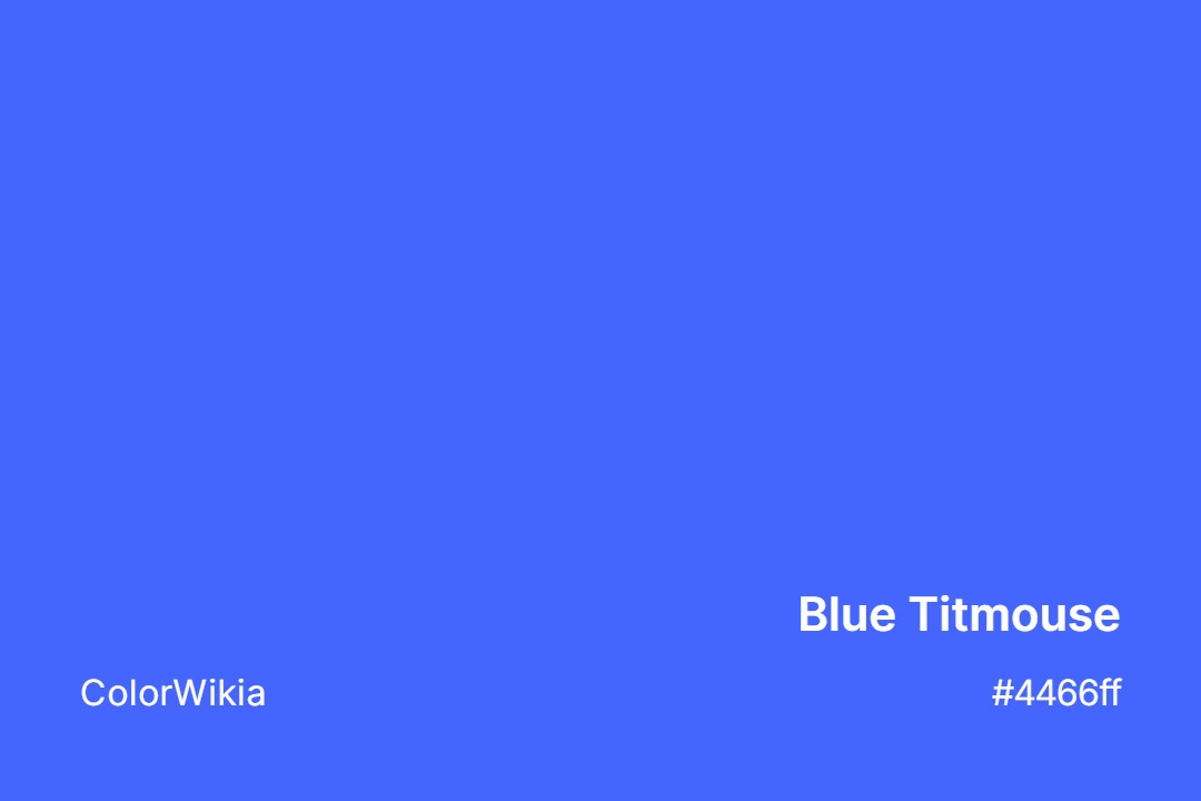 Blue Titmouse Color – #4466ff: Codes and Complete Breakdown