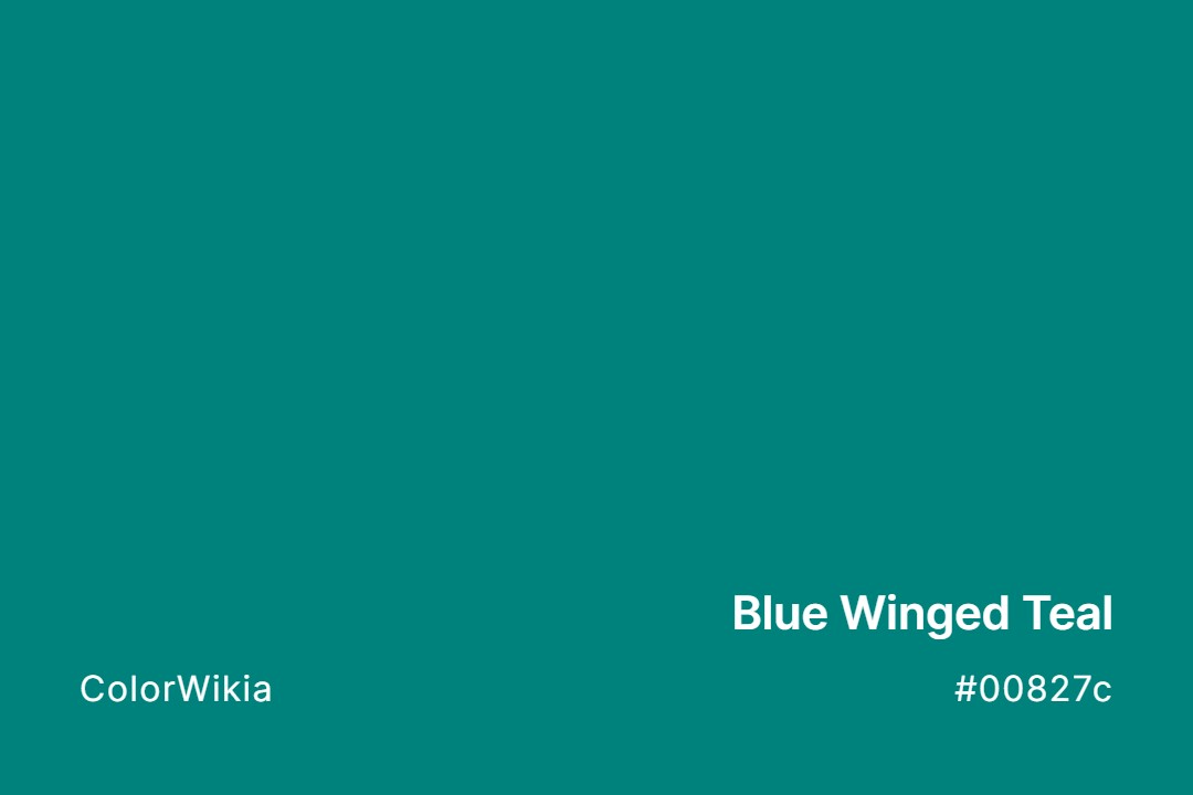Blue Winged Teal Color – #00827c: Codes and Complete Breakdown