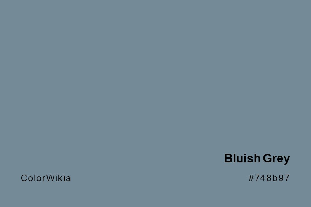 bluish grey color 748b97