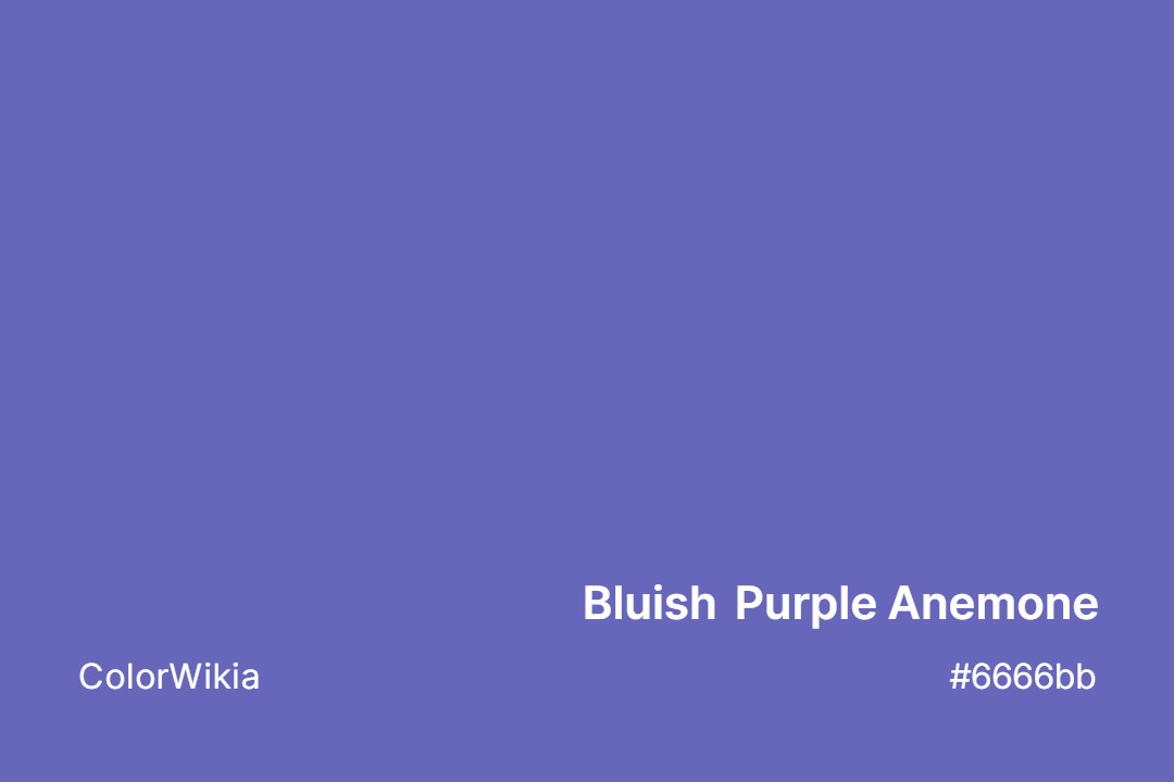 bluish purple anemone color 6666bb
