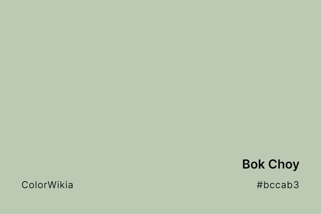 Bok Choy Color – #bccab3: Codes and Complete Breakdown