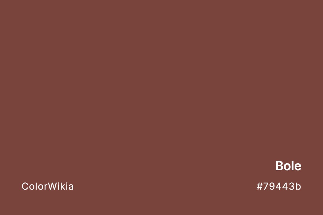 Bole Color – #79443b: Codes and Complete Breakdown
