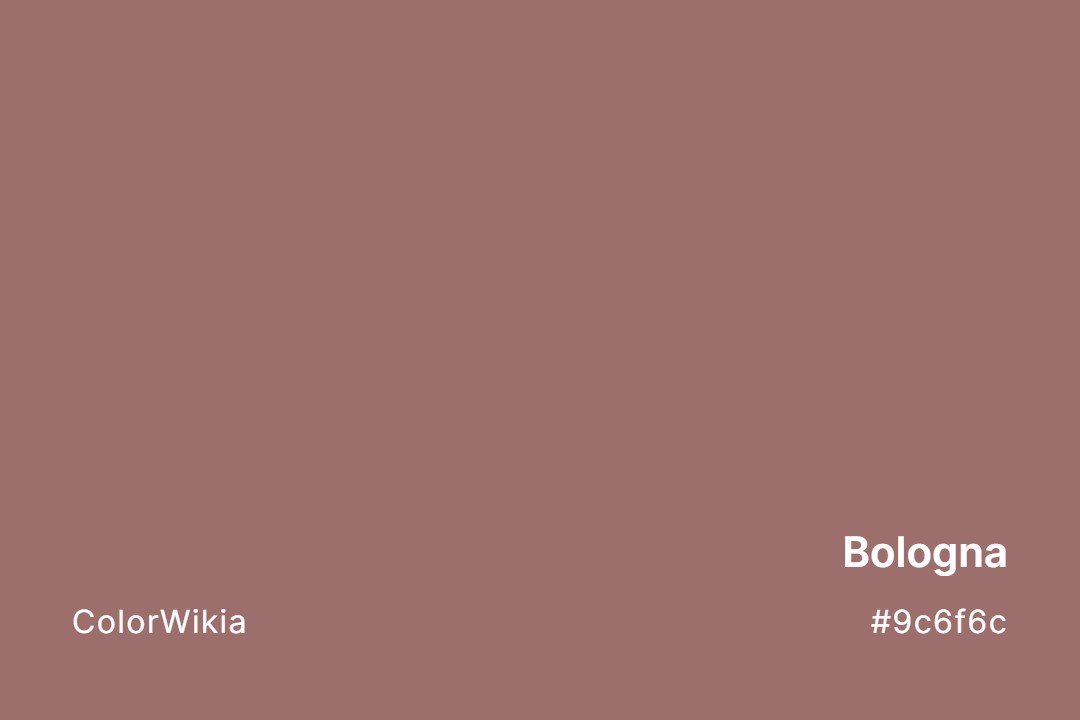 Bologna Color – #9c6f6c: Codes and Complete Breakdown
