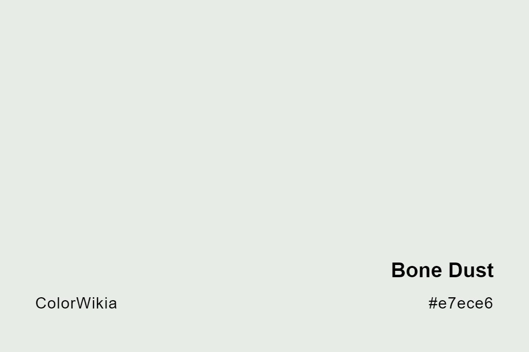 Bone Dust Color – #e7ece6: Codes and Complete Breakdown