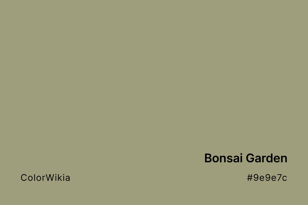 Bonsai Garden Color – #9e9e7c: Codes and Complete Breakdown
