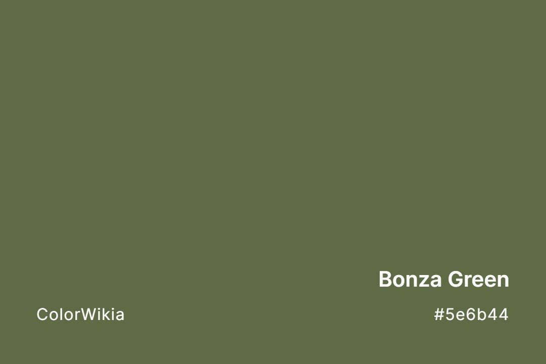 Bonza Green Color – #5e6b44: Codes and Complete Breakdown