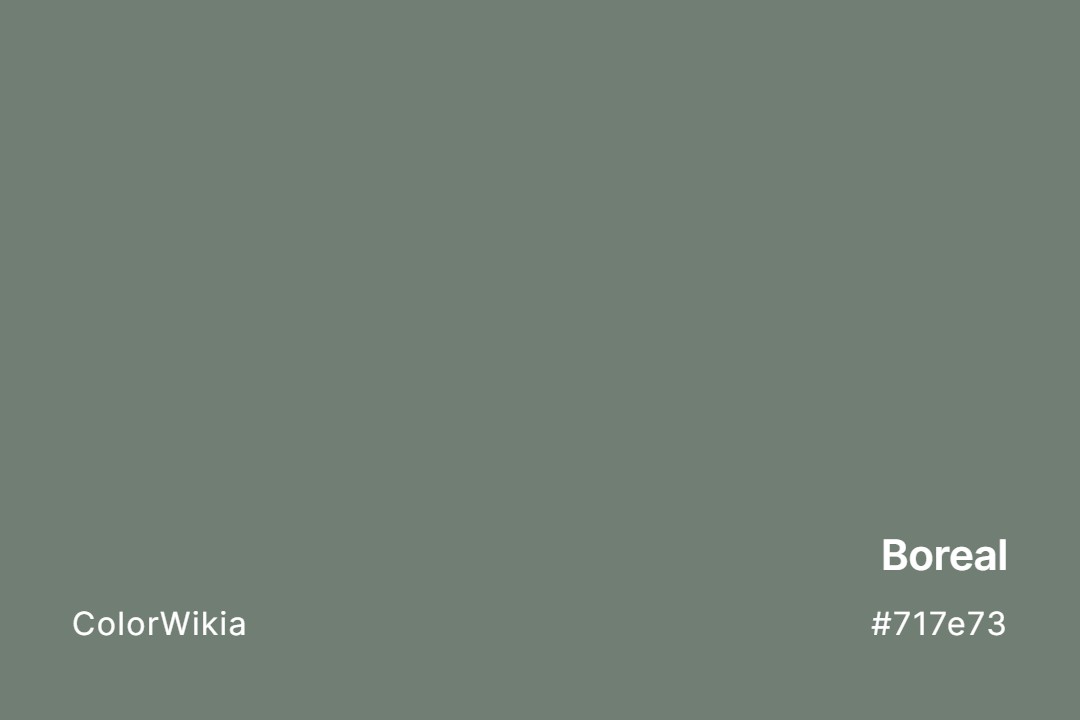 Boreal Color – #717e73: Codes and Complete Breakdown