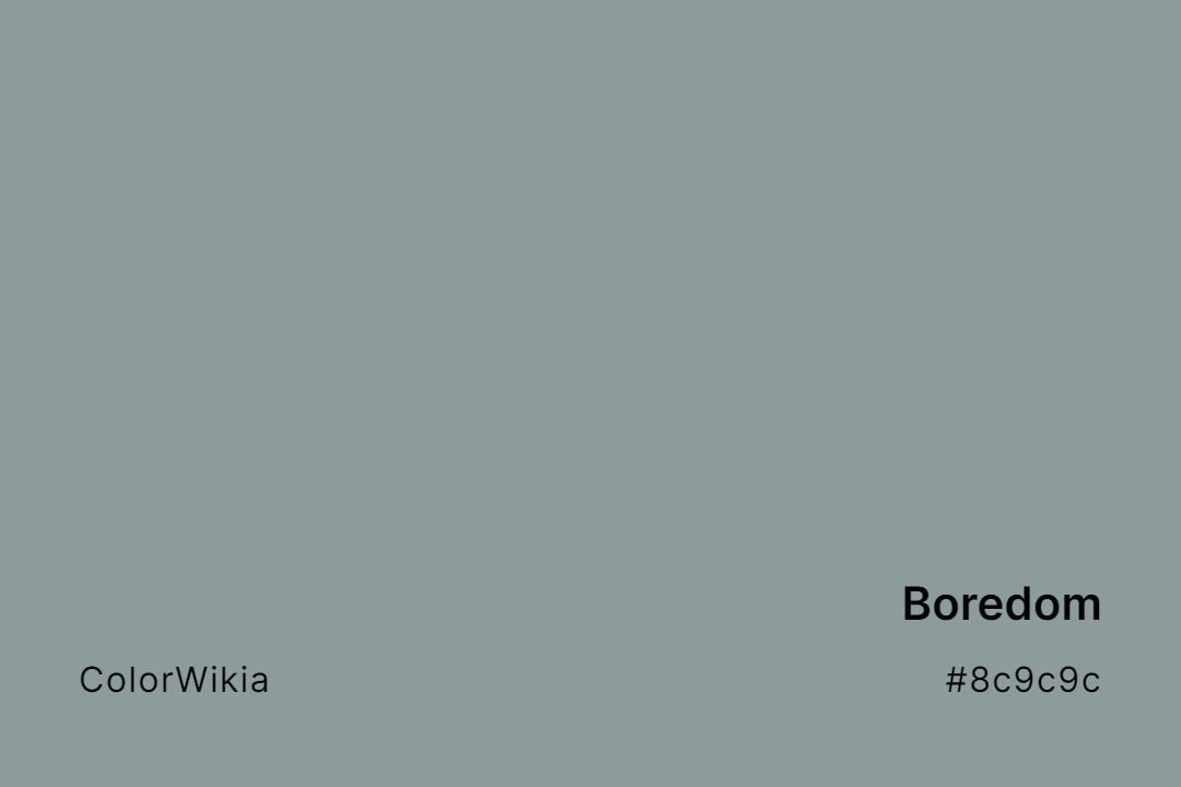 Boredom Color – #8c9c9c: Codes and Complete Breakdown