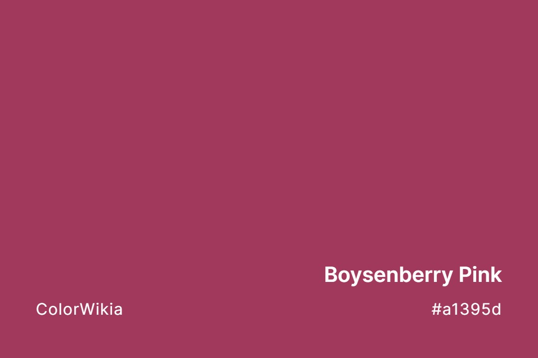 boysenberry pink color a1395d