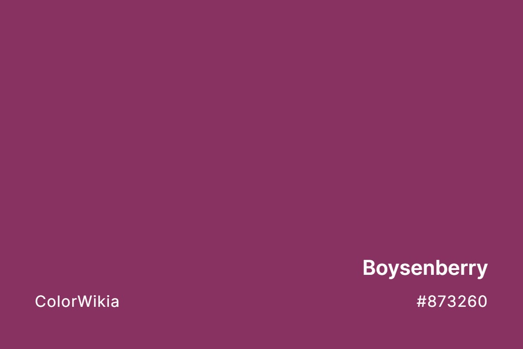 boysenberry color 873260