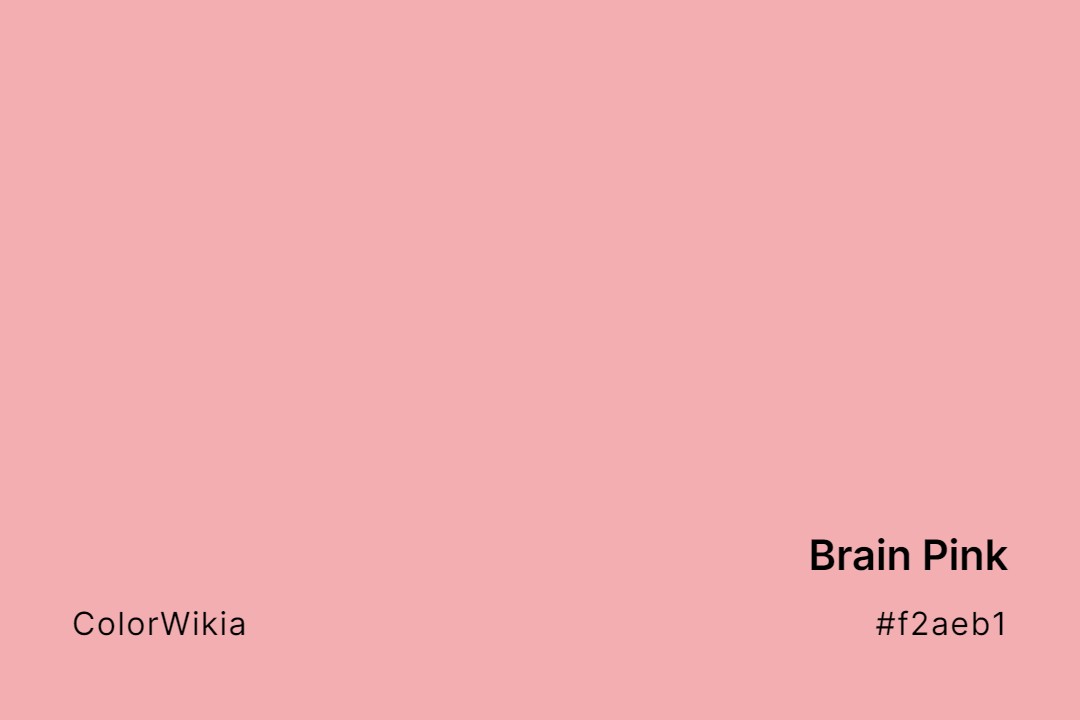 Brain Pink Color – #f2aeb1: Codes and Complete Breakdown