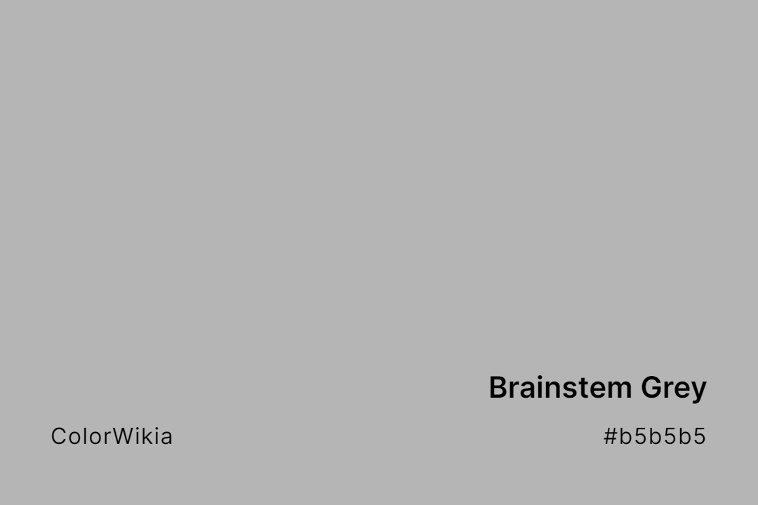 Brainstem Grey Color – #b5b5b5: Codes and Complete Breakdown