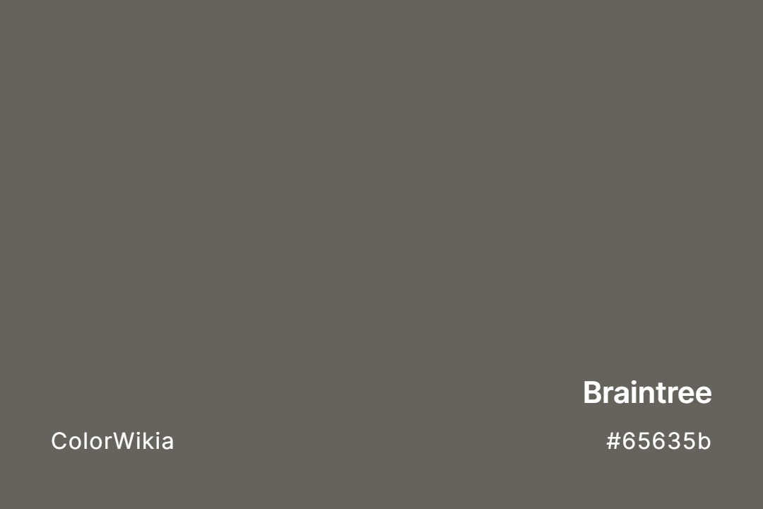 Braintree Color – #65635b: Codes and Complete Breakdown