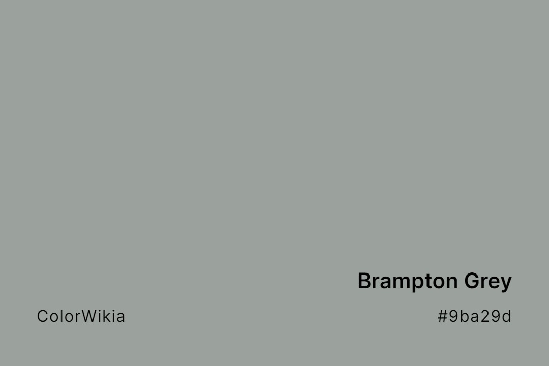 Brampton Grey Color – #9ba29d: Codes and Complete Breakdown