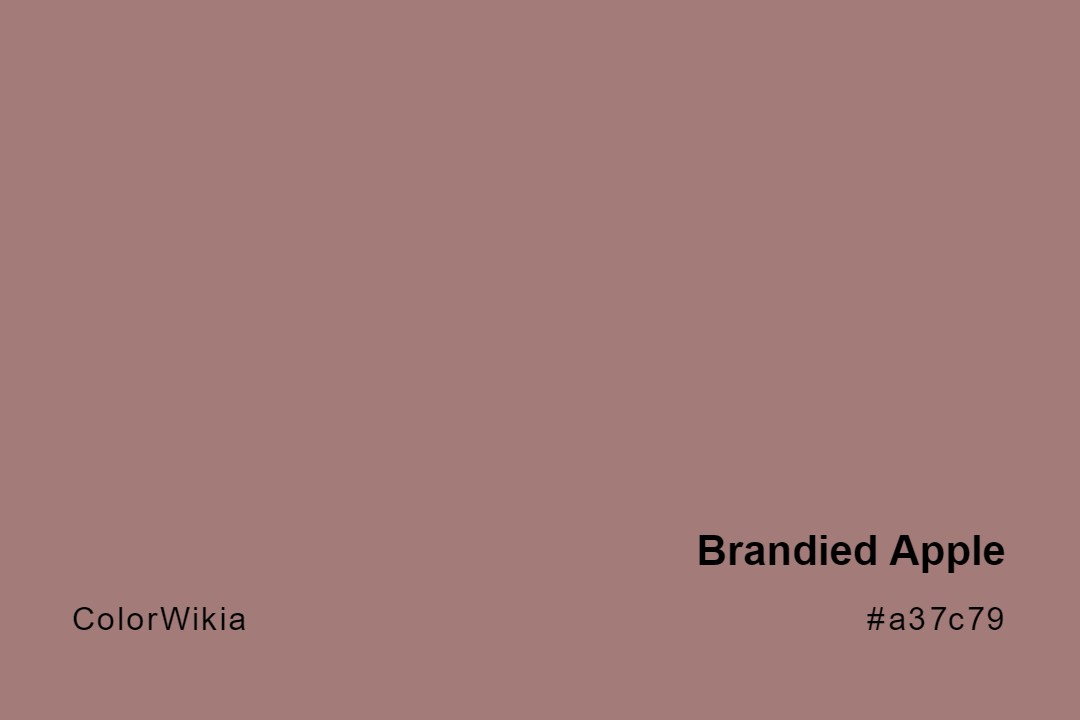 brandied apple color a37c79
