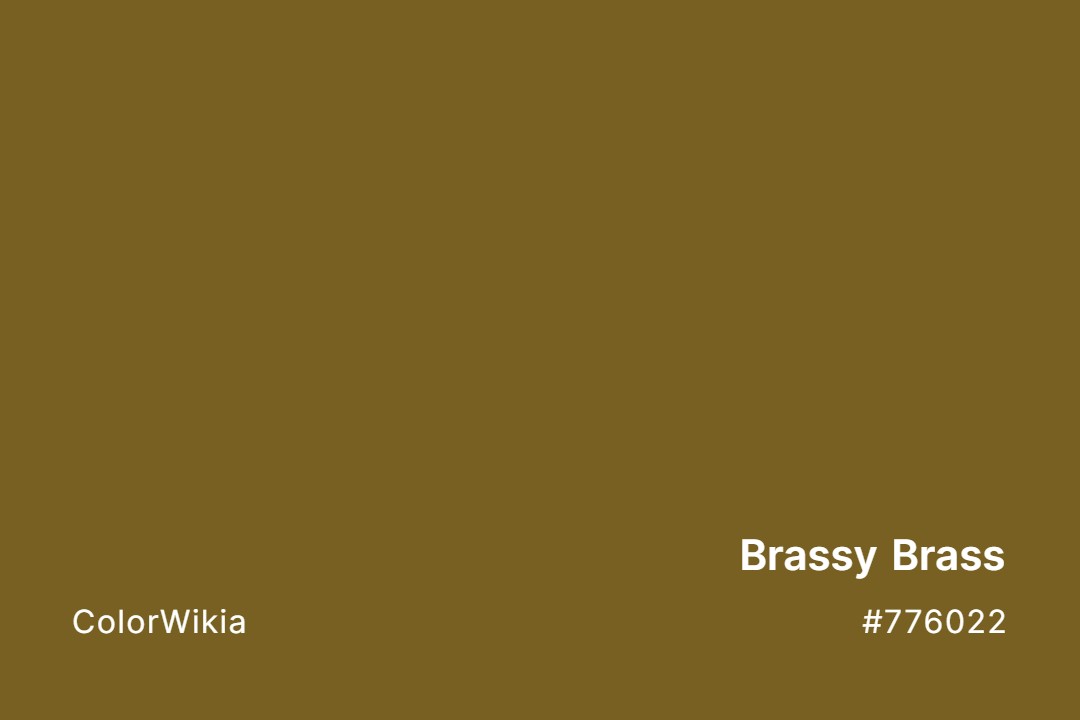 Brassy Brass Color – #776022: Codes and Complete Breakdown