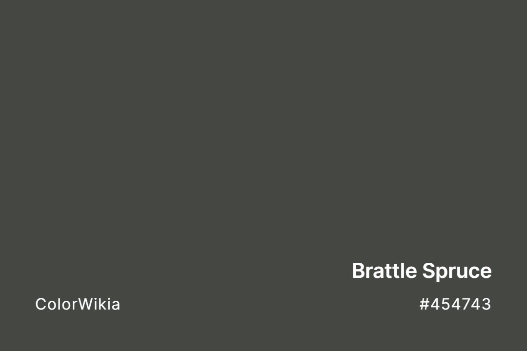 Brattle Spruce Color – #454743: Codes and Complete Breakdown