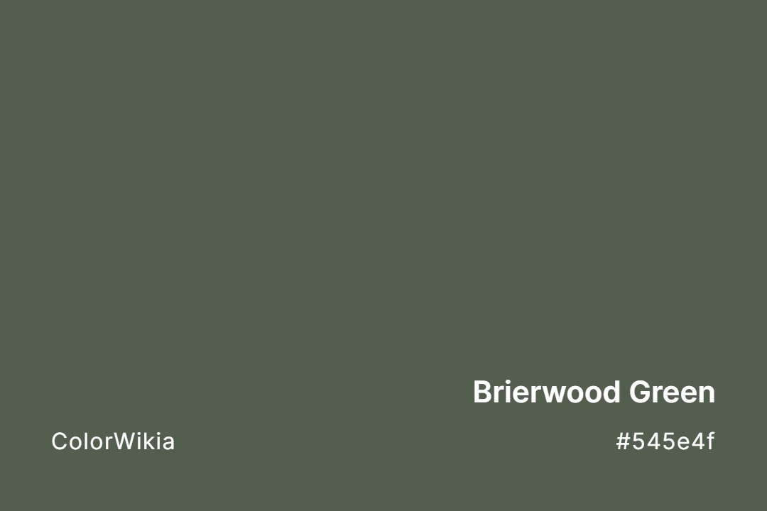 Brierwood Green Color – #545e4f: Codes and Complete Breakdown