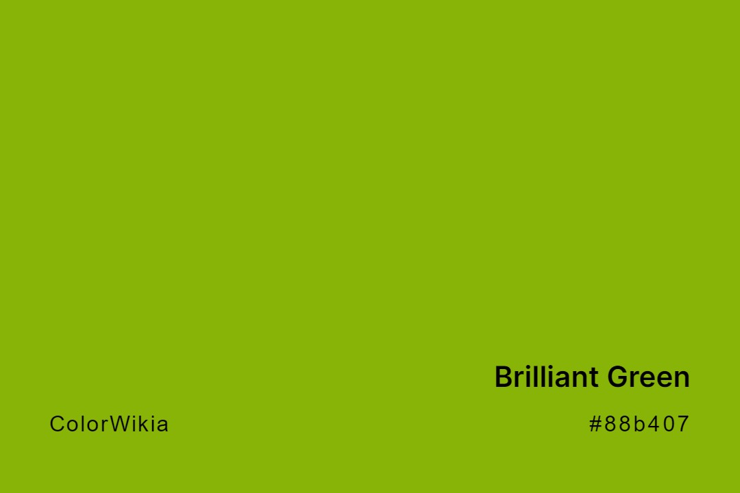 Brilliant Green Color – #88b407: Codes and Complete Breakdown