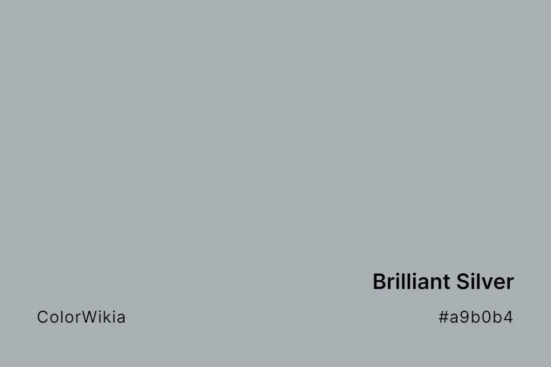 brilliant silver color a9b0b4