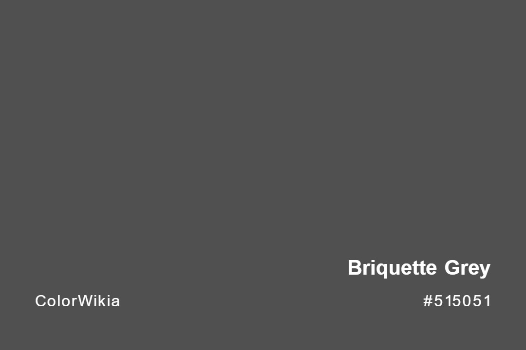 Briquette Grey Color – #515051: Codes and Complete Breakdown