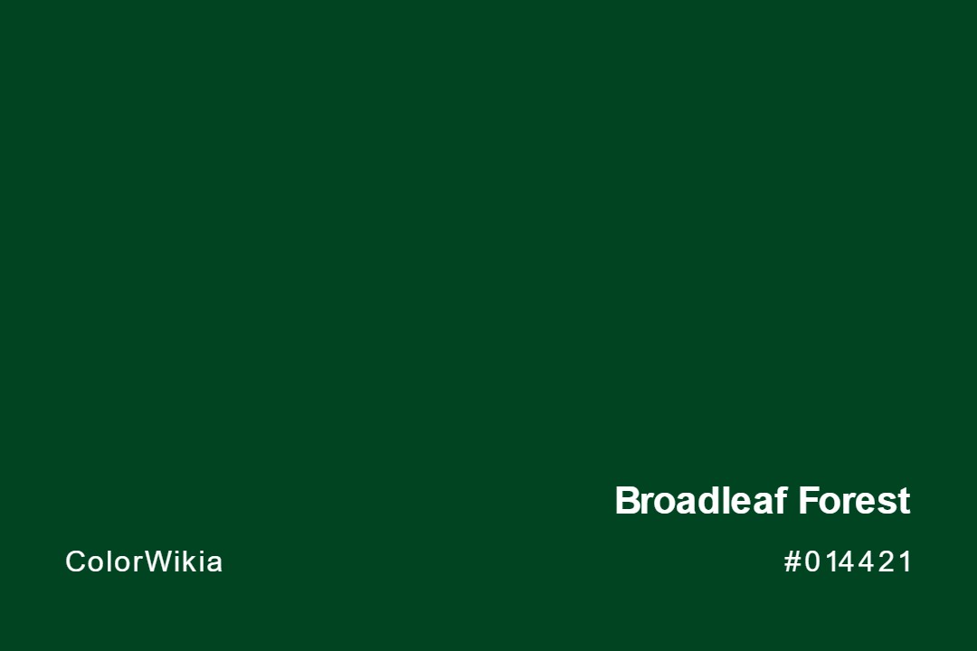 broadleaf forest color 014421
