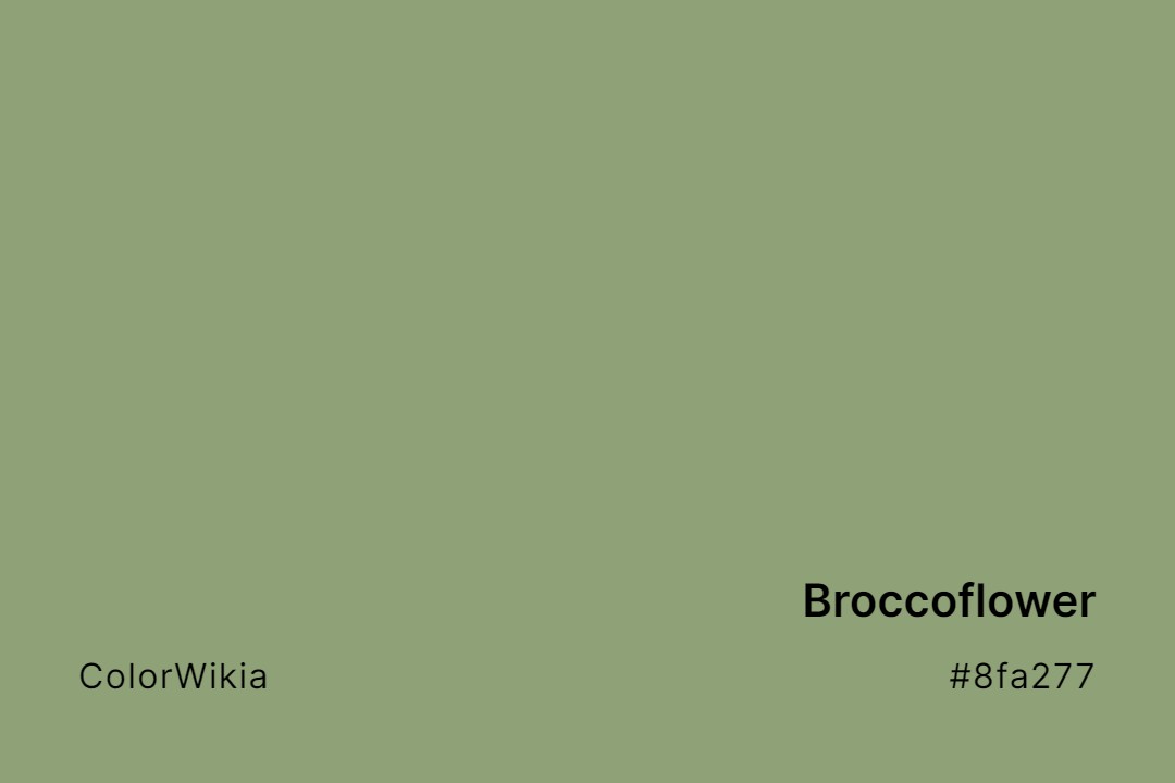 Broccoflower Color – #8fa277: Codes and Complete Breakdown