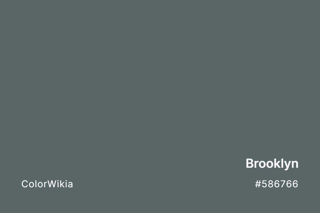 Brooklyn Color – #586766: Codes and Complete Breakdown