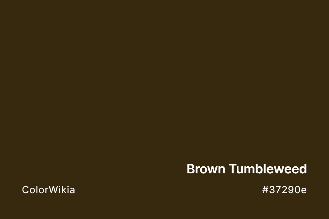 brown tumbleweed color 37290e