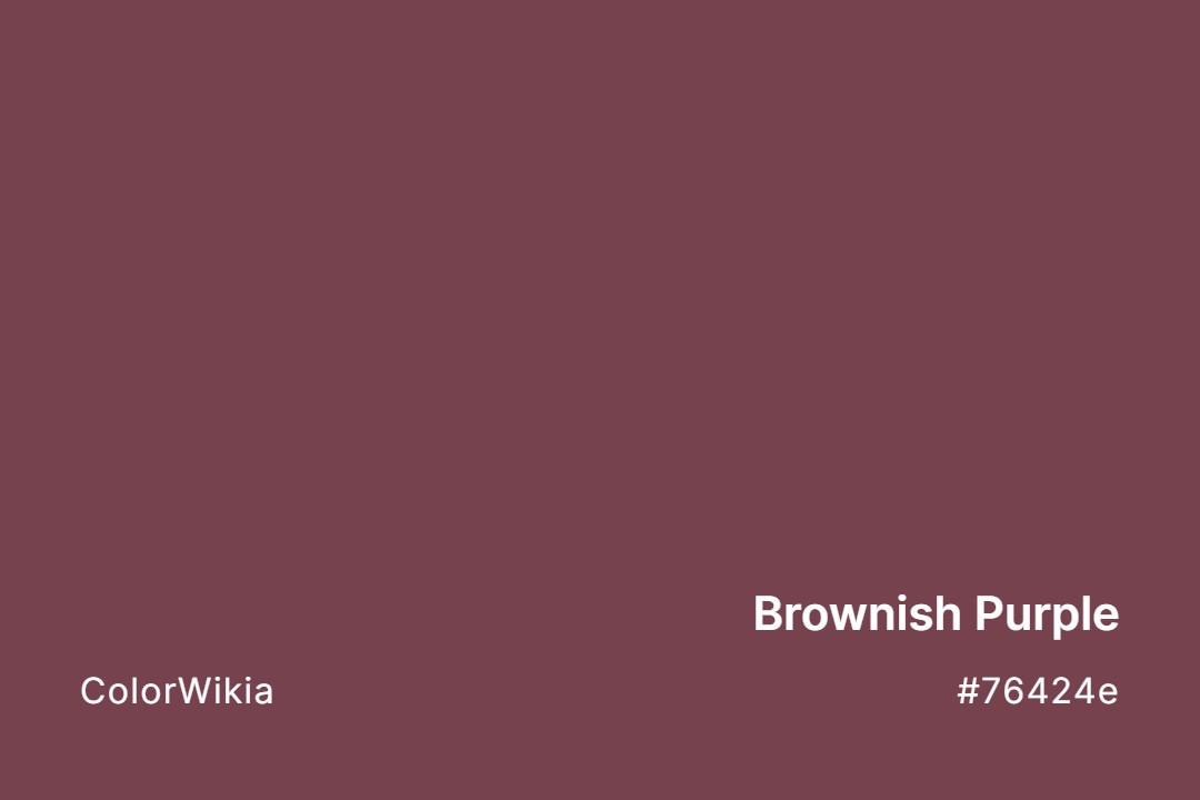 Brownish Purple Color – #76424e: Codes and Complete Breakdown