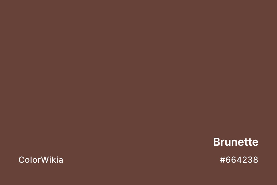 Brunette Color – #664238: Codes and Complete Breakdown