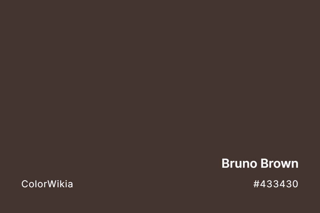 Bruno Brown Color – #433430: Codes and Complete Breakdown