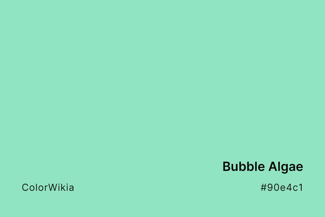 bubble algae color 90e4c1