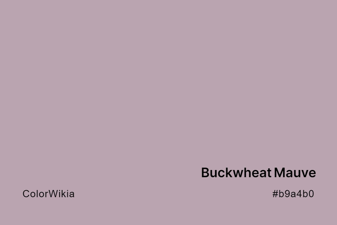 buckwheat mauve color b9a4b0