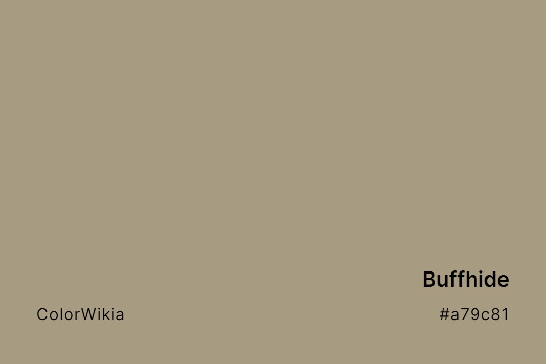 Buffhide Color – #a79c81: Codes and Complete Breakdown