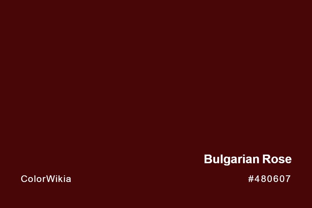 Bulgarian Rose Color – #480607: Codes and Complete Breakdown