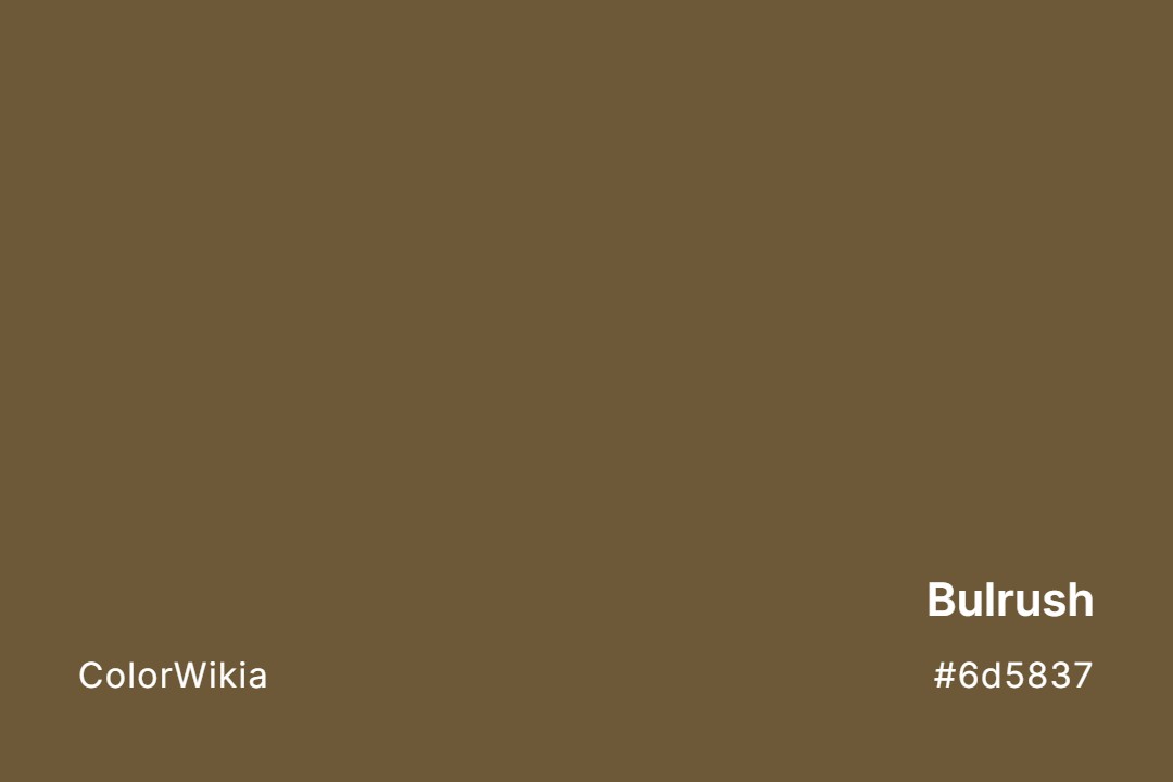 Bulrush Color – #6d5837: Codes and Complete Breakdown