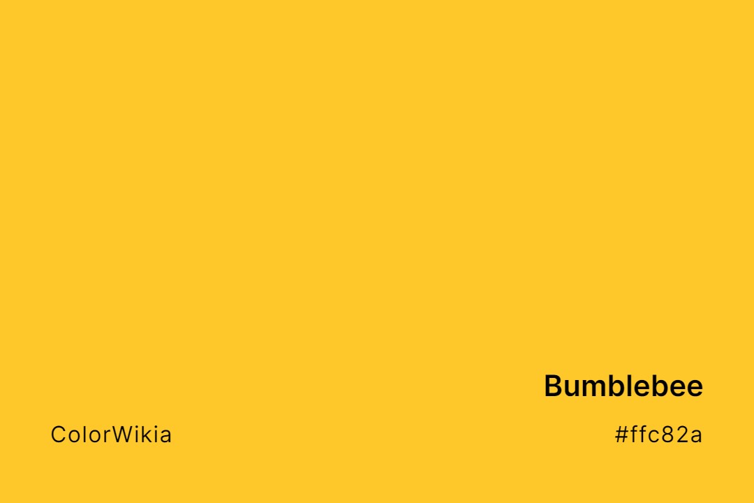 Bumblebee Color – #ffc82a: Codes and Complete Breakdown