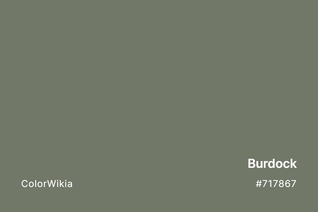 Burdock Color – #717867: Codes and Complete Breakdown