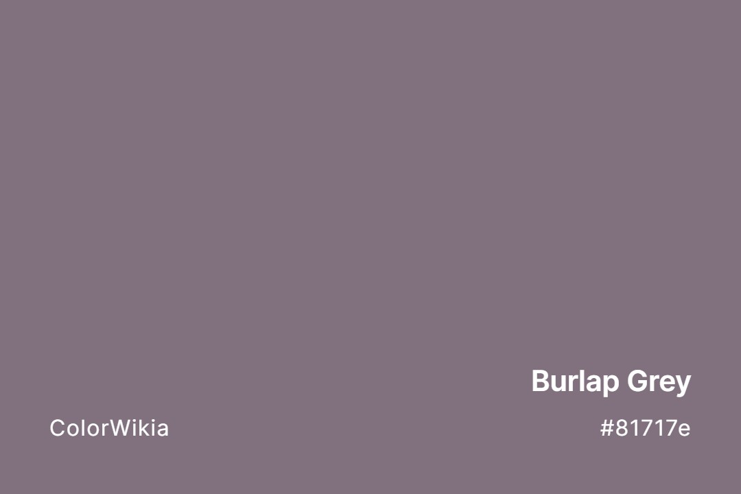 Burlap Grey Color – #81717e: Codes and Complete Breakdown
