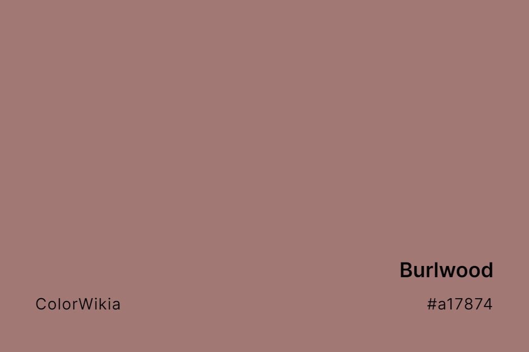 Burlwood Color – #a17874: Codes and Complete Breakdown
