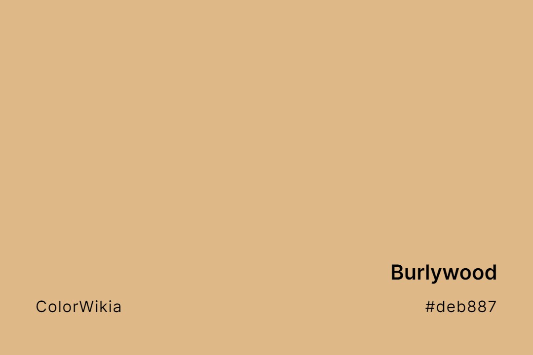 Burlywood Color – #deb887: Codes and Complete Breakdown