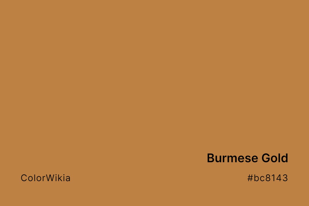 Burmese Gold Color – #bc8143: Codes and Complete Breakdown