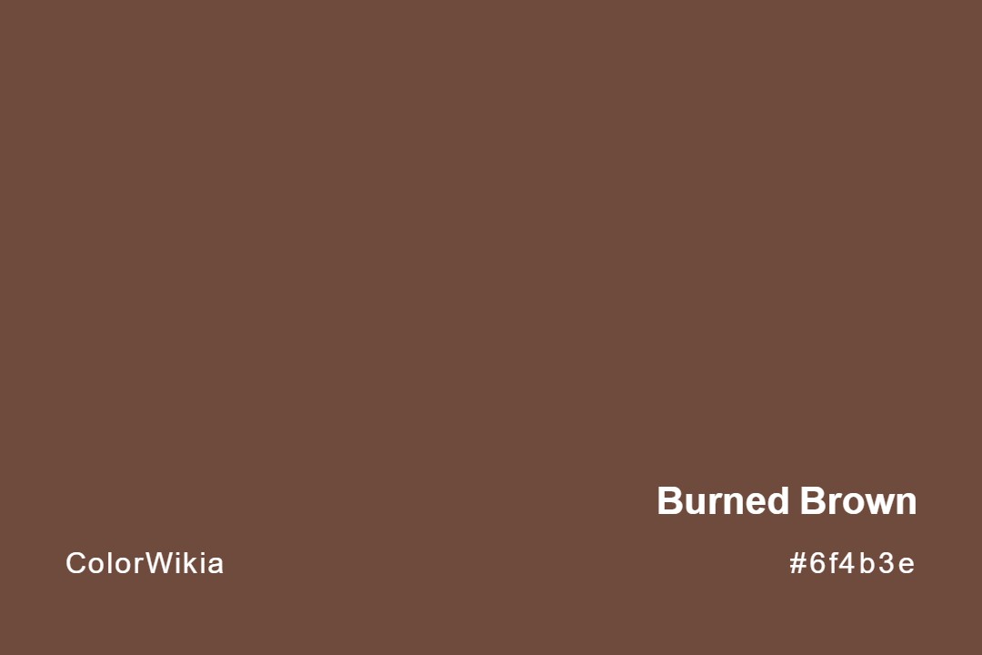 Burned Brown Color – #6f4b3e: Codes and Complete Breakdown